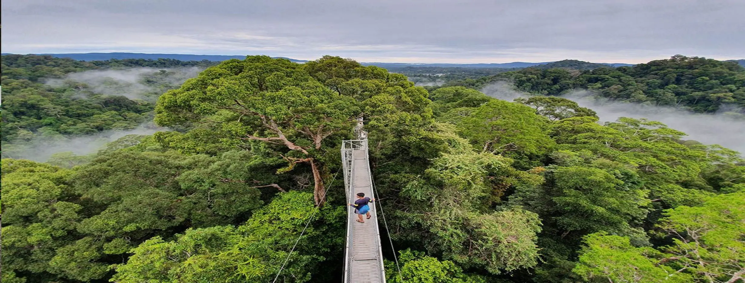 Image for Ulu Temburong National Park